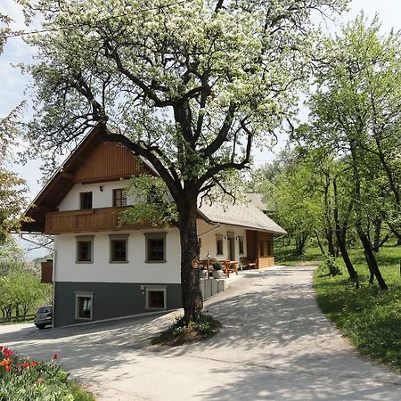 Farm Stay Dolinar Krainer Bohinjska Bela Εξωτερικό φωτογραφία