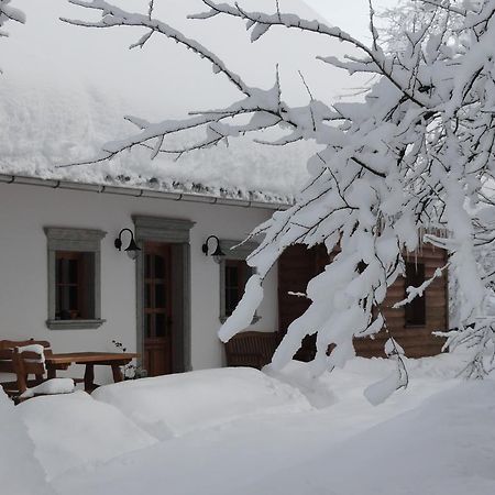 Farm Stay Dolinar Krainer Bohinjska Bela Εξωτερικό φωτογραφία