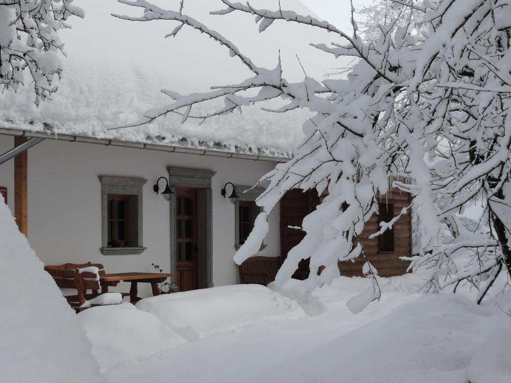 Farm Stay Dolinar Krainer Bohinjska Bela Εξωτερικό φωτογραφία